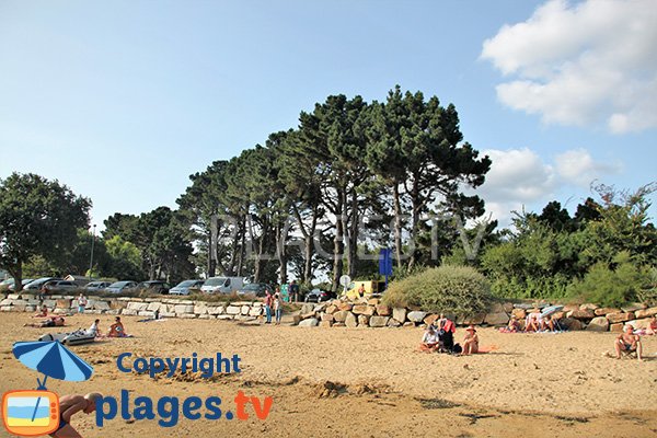 Environnement de la plage de Locmiquel en Bretagne