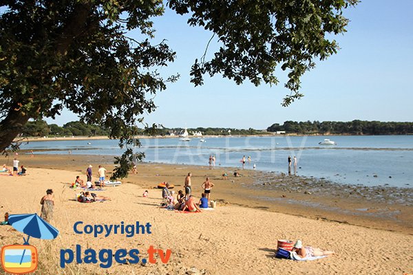 Belle plage dans le golfe du Morbihan