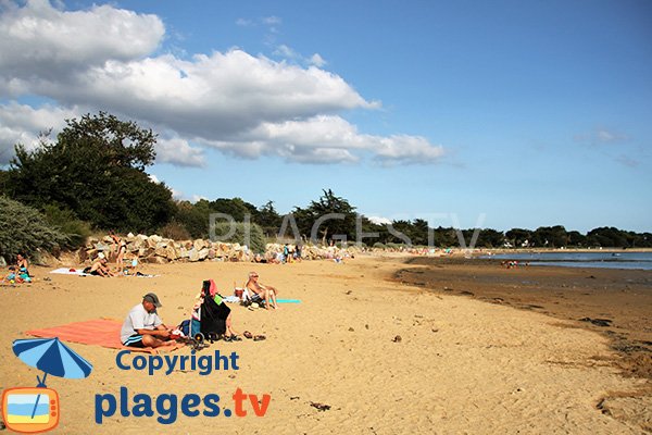 Photo de la plage de Locmiquel à Larmor-Baden