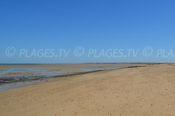 Photo of Loge beach - Island of Ré