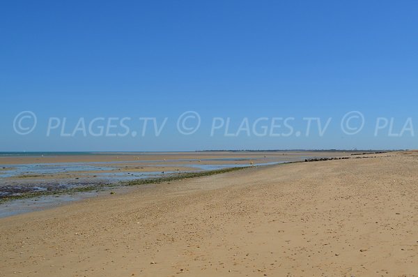 Plage de la Loge en direction de l'anse du Fourneau - Ile de Ré