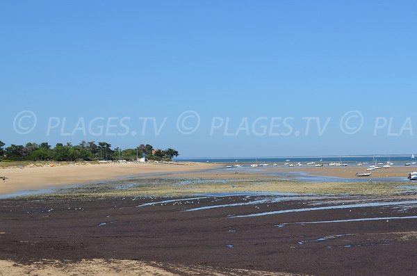 Photo de la plage de la Loge - Les Portes en Ré