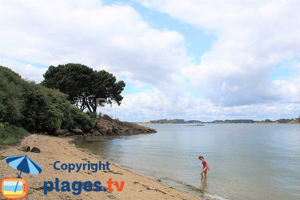 Plage à Sarzeau du côté du golfe du Morbihan - Logéo