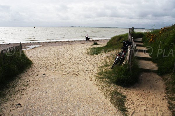 Access to Loguy beach in Pénestin