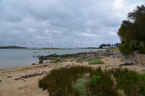 Environnement de la plage du Losquet sur l'Ile Grande