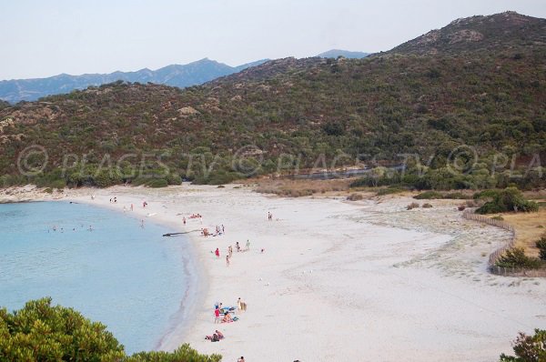 Beautiful beach in St Florent - Corsica