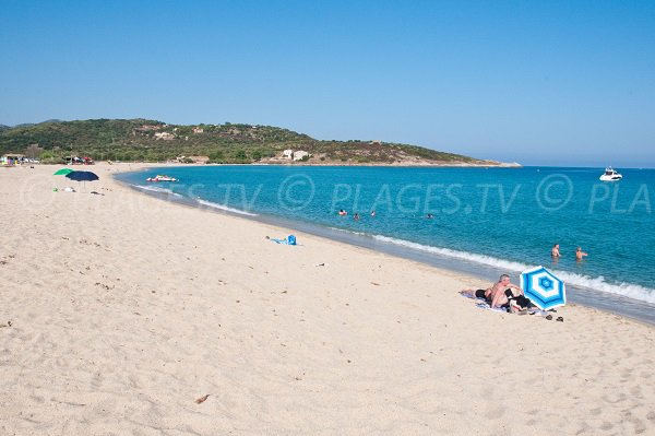 Sand beach in Belgodere in Corsica