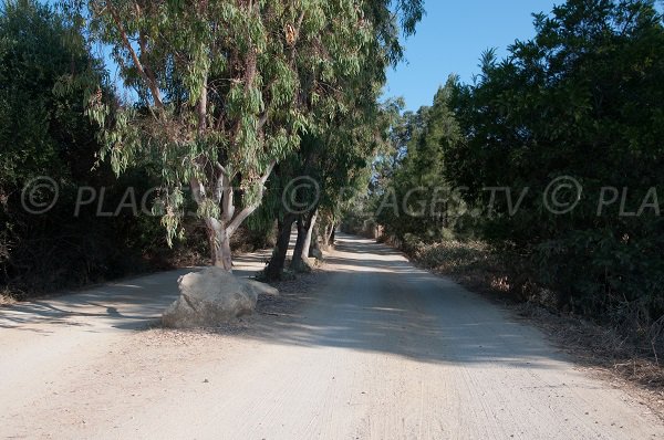 Chemin d'accès à la plage de Lozari