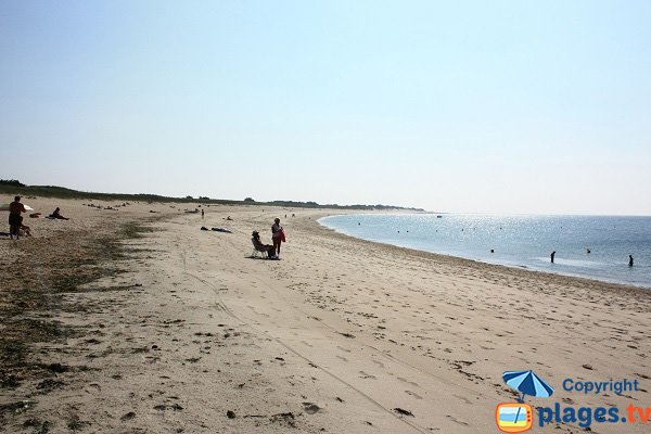 Plage de Noirmoutier avec des dunes - Luzéronde