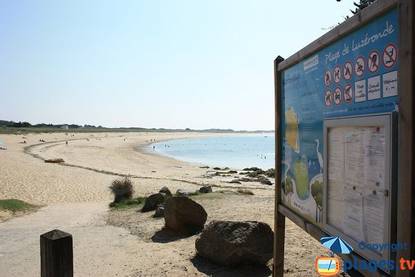 Foto della spiaggia Luzéronde a Noirmoutier - Francia