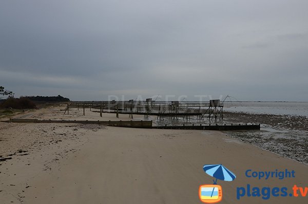 Plage de la Lyarne à Les Moutiers en Retz