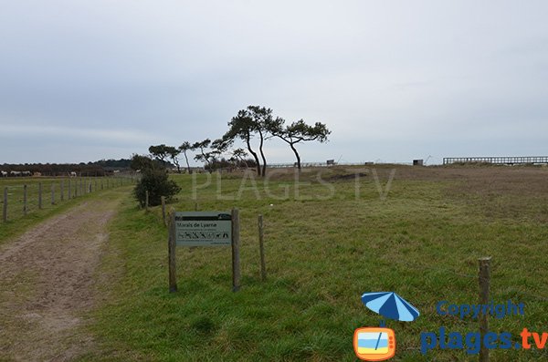 Marais de Lyarne à Les Moutiers en Retz