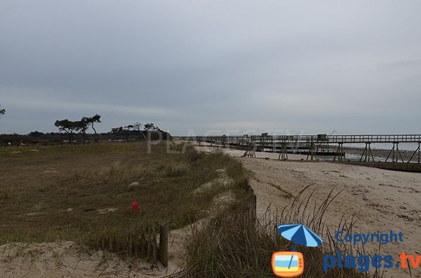 Photo de la plage de Lyarne à Les Moutiers en Retz