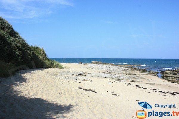 Spiaggia a nord di Noirmoutier - La Madeleine