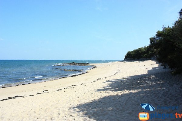 Beach with shade in Noirmoutier - La Madeleine