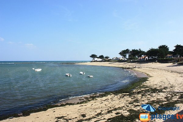 Madeleine beach - Petit Vieil - Noirmoutier