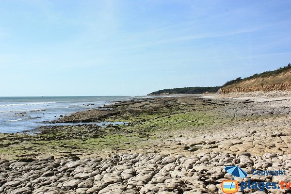 Vue de la plage Légère et Ragounite - Jard sur Mer