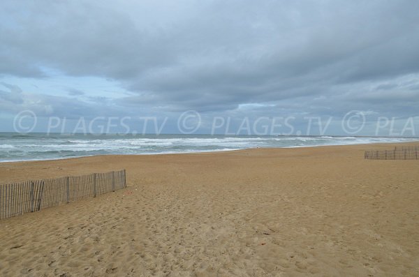 Plage publique de sable surveillée à Anglet