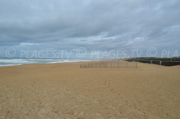 Quiet beach in Anglet