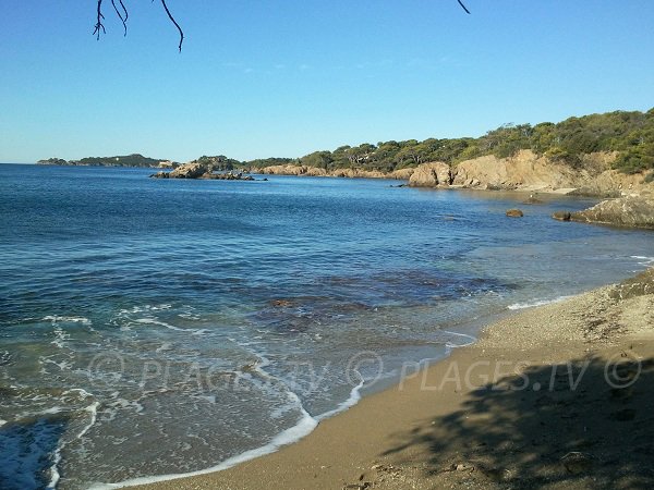 Foto della spiaggia della Madrague a Hyères