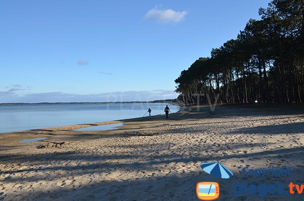 Plage sud Maguide à Biscarrosse avec de l'ombre