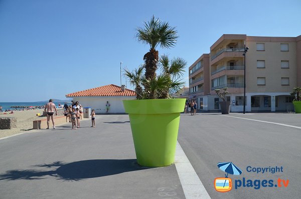 Seaside front near the Maillol square - St Cyprien