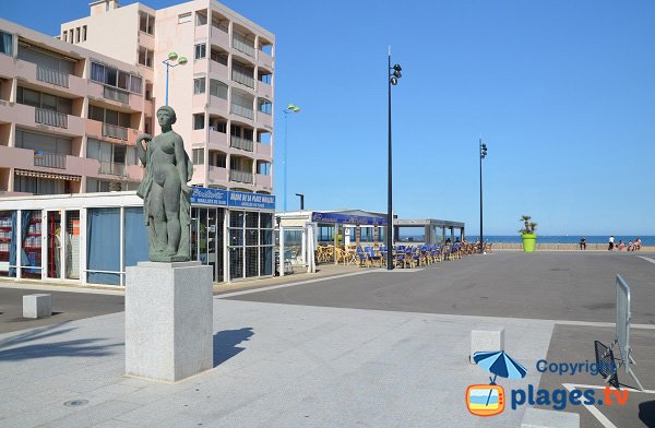 Commerces sur la place Maillol - St Cyprien