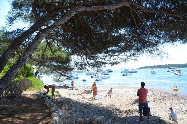 Photo of the beach near the forest house of Sainte Marguerite island - Lerins