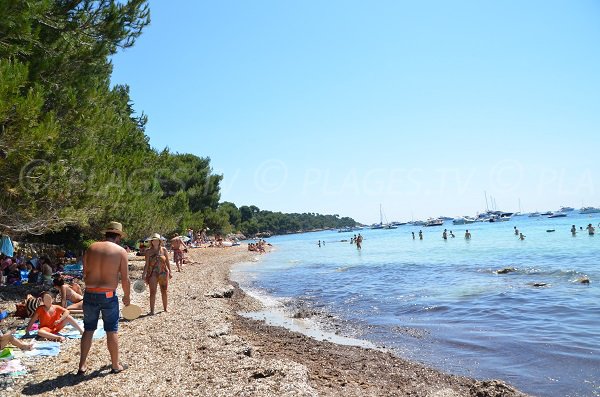 Central part of the beach of the forest house in Ste Marguerite