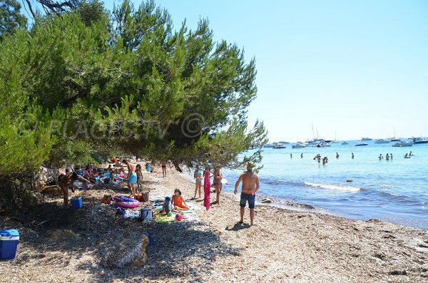 Ombre sur la plage à côté de la maison forestière