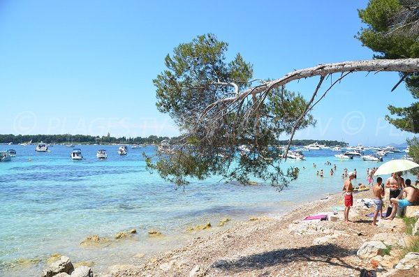 Boats at anchor between the islands of Lérins