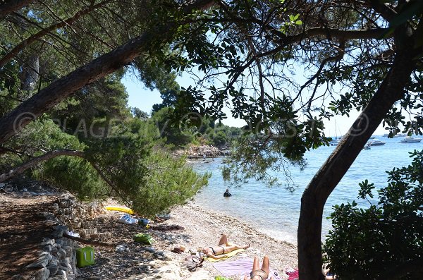 Partie gauche de la plage proche de la maison forestière