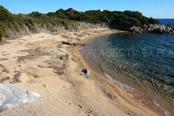 Plage au nord de Majalone - Bonifacio