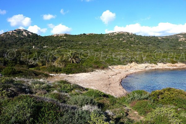 Photo de la plage de Majalone de Bonifacio