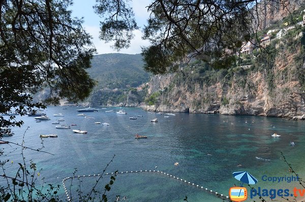 Anti meduse netto sulla spiaggia Mala