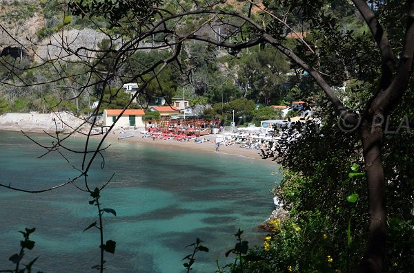 Spiaggia Mala e la vegetazione - Francia