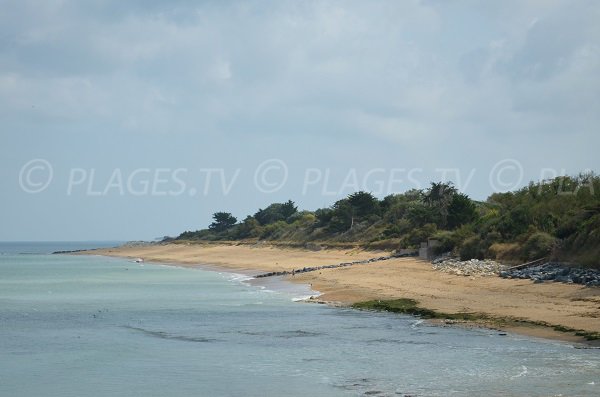 Beach for surfing in La Brée les Bains - Oleron