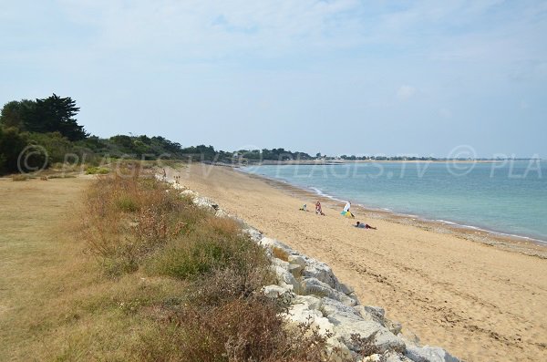 Photo of Malaiguille beach in La Brée les Bains - Oleron