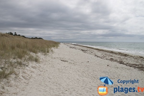 Plage et dunes de Cleut Rouz - Fouesnant