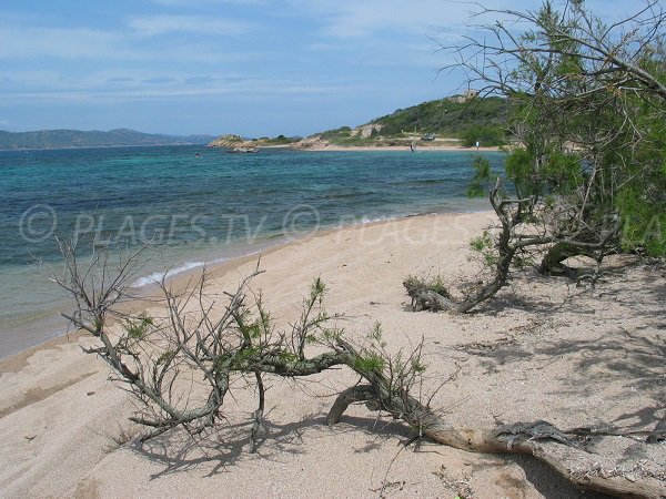 Maora beach in Bonifacio in Corsica