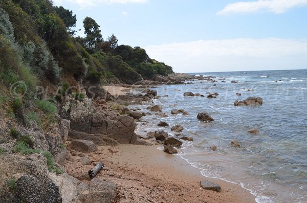 Wild beach in Porticcio in Corsica - Maquis