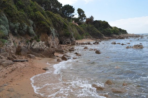 Spiaggia del Maquis di Porticcio in Corsica