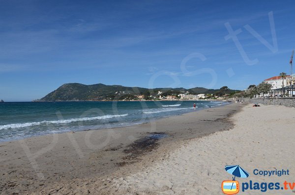 Photo de la plage des Sablettes avec vue sur Mar Vivo - La Seyne sur Mer