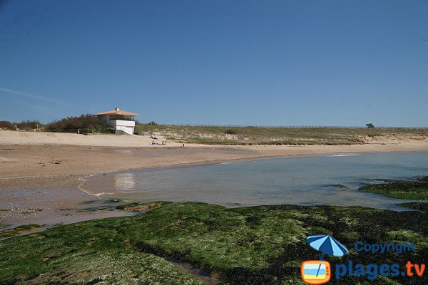 Vue sur la plage du Marais de Girard - Brétignolles - Vendée