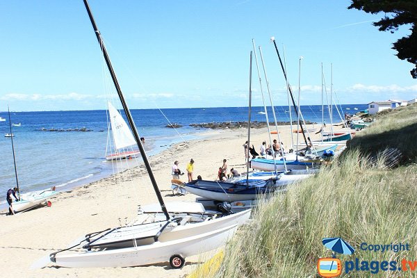 Marais Salé de l'Ile d'Yeu