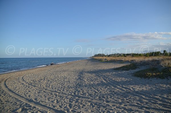 Photo de la plage de Marana à Lucciana en Corse