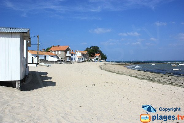 Maisons le long de la plage de Mardi Gras - Noirmoutier