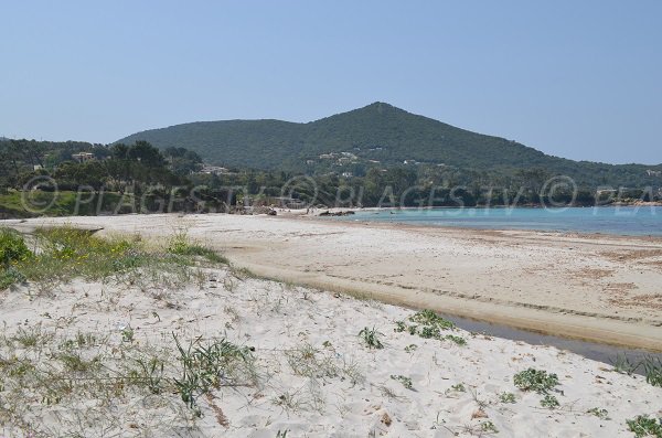 Plage d'Argent à Pietrosella en Corse