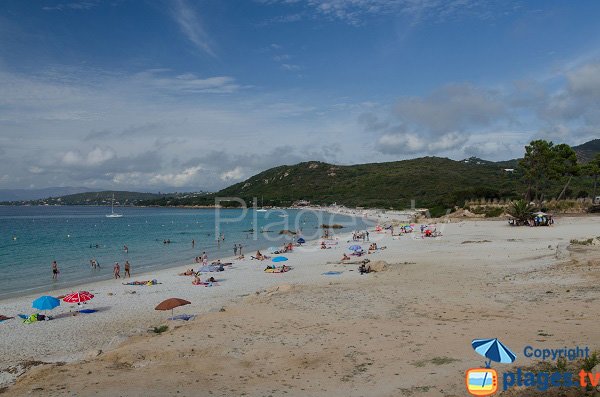 Foto della spiaggia di Mare e Sole - Corsica