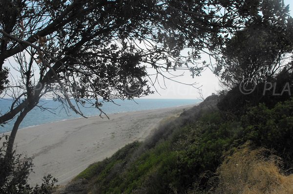 Photo of Mare e Stagnu beach in Corsica - Aléria